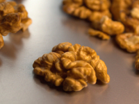 Os Três Tipos De Cérebro E Suas Implicações Na Terapia Emocional