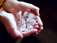 Panorama Histórico, Psicologia Da Gestalt E Teoria Organísmica