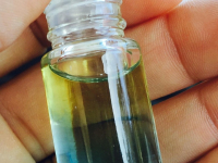 Pesquisa Científica E A Neurociência Por Trás Da Aromaterapia