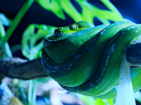 Curso de PYTHON Desde CERO 2023