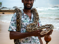 Python para Dummies - Fundamentos, Condicionales, Ciclos, POO, Estructuras, CSV