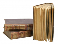 Formación de Scouters