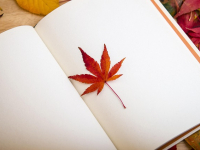 Arte, Cultura e Historia en la Comunitat Valenciana