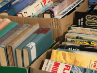 ANIMACIÓN SOCIOCULTURAL / INTEGRACIÓN SOCIAL