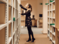 Animación Sociocultural