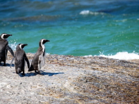 DINAMIZACIÓN GRUPAL