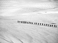 Dinamización Grupal y Habilidades Sociales