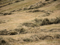 Básico em Ampliação Rural