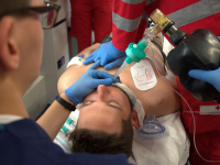 Primeiros Socorros- Lei De Lucas