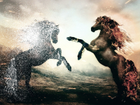 Introdução Processamento Digital De Imagens