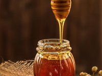 Produtos Naturais De Origem Animal, Mineral E Microbiana Utilizados Em Farmácia