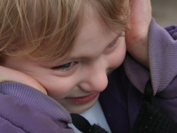 Proteção Dos Direitos Da Pessoa Com Transtorno Do Espectro Autista