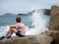 Psicanálise E As Neurociências