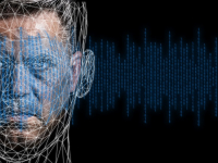 Firebase Para Android