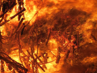 Formação Brigada de Incêndio - Nível Básico