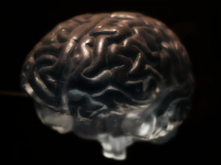 Funções Psicológicas e Desenvolvimento Cognitivo