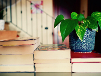 Prática Pedagógica em Letras