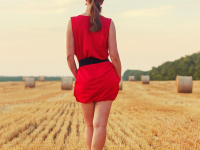 Fundamentos Da Sexualidade E Sexologia Da Pornografia