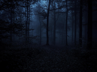 Reflexões Sobre A Depressão E Culpa