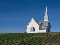 Religião, Sociedade E Espaço Público