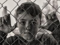 Reprogramação Emocional