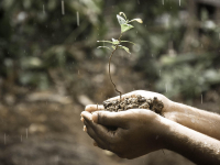 Terapia Infantil-BOBATH- Conceito Neuroevolutivo