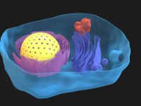 Biologia Preparatório