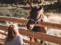 Agricultura Familiar - Gestão de Empresas Rurais
