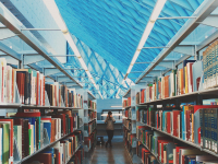 Biblioteca Escolar - Criação e Funcionamento