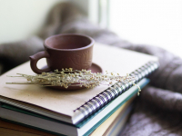 Consolidando o conhecimento