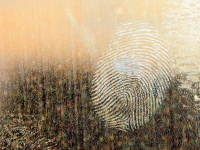 Investigação Forense Crimes Financeiros