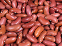 APRENDE a COCINAR DESDE CERO - CURSO de COCINA para PRINCIPIANTES