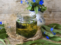 Recetas Tradicionales Españolas Cocina Casera de Siempre