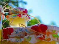 300 RECETAS de COCINA Casera (Facil y Rapida) Que DEBES PROBAR