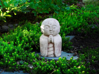 Videos de Enseñanzas y Prácticas Espirituales (Meditación)