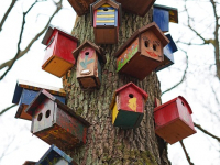 Todos los Tutoriales de Ebanistería