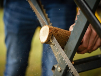 CURSO GRATIS de CARPINTERIA