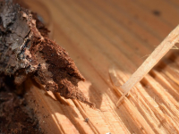 Serie Plantillas para Ebanistas (Woodworking Templates)