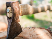 Carpintería/ebanisteria