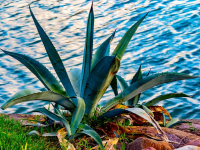 Proyectos de Diseño 3D