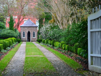 Cómo Diseñar y Planificar un Jardín Desde Cero