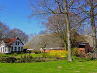 DISEÑO y PLANTACIÓN