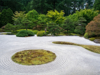 Paisajismo y Jardinería