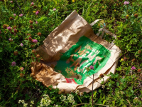 CHARLA de 5 MINUTOS GESTION y PROTECCION AMBIENTAL