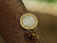 GESTIÓN FINANCIERA de la EMPRESA. Curso Completo