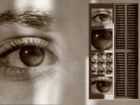 Psicobiología Maria Penado Uned