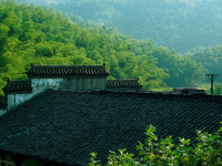 Fuentes con Bambú Ideas Creativas