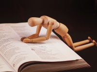 Biomecánica y Gestión de Riesgo Arbolado