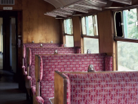 Curso de Tapicería Básica en Vivo