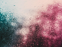 Humedad de las Paredes